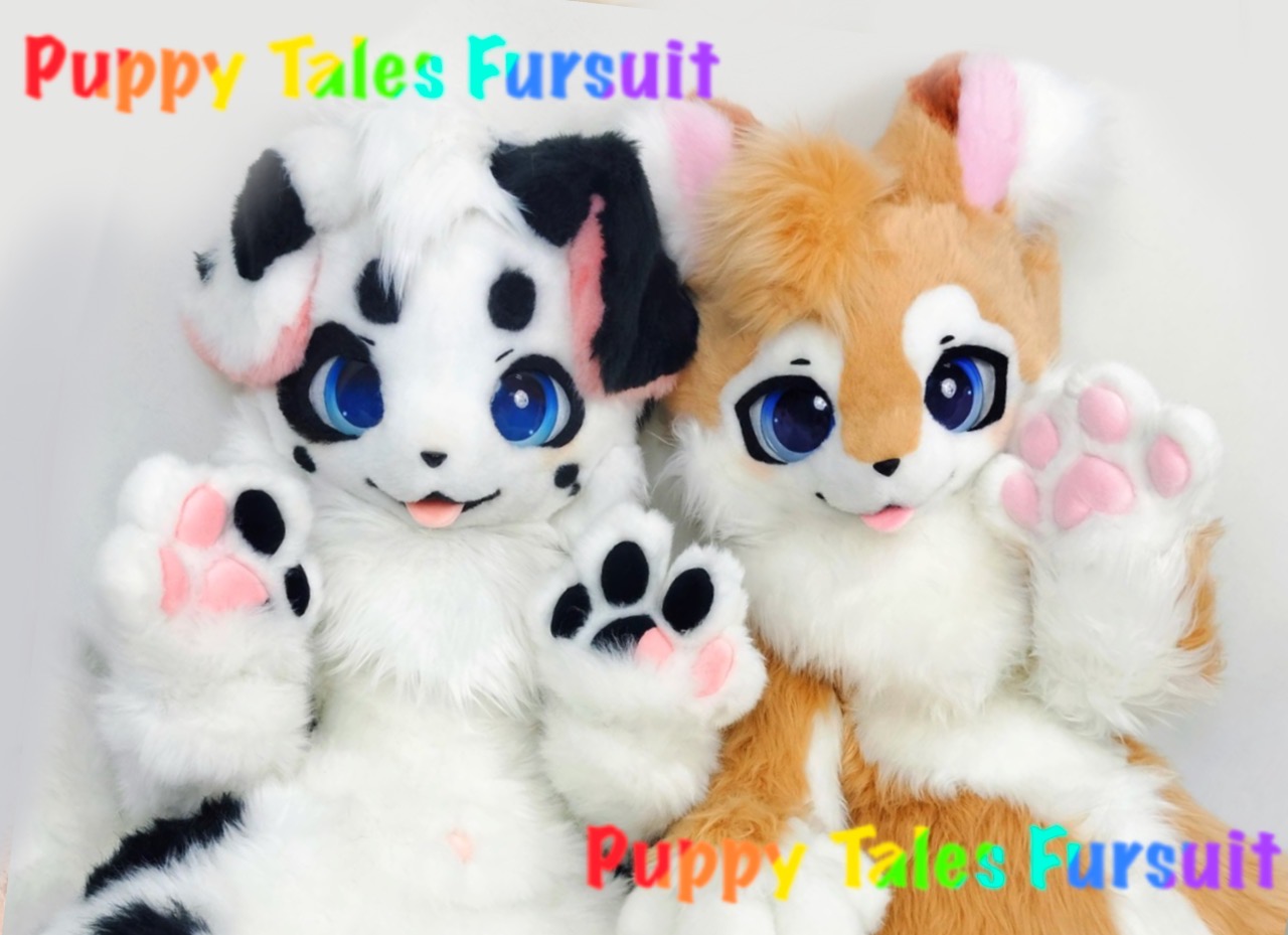 Furdoll Delegation process and introduction